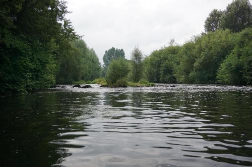 Stromschnelle bei der Mündung der Hessel (links) in die Ems (rechts).