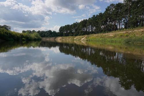 Renaturalized Ems behind Hembergen.