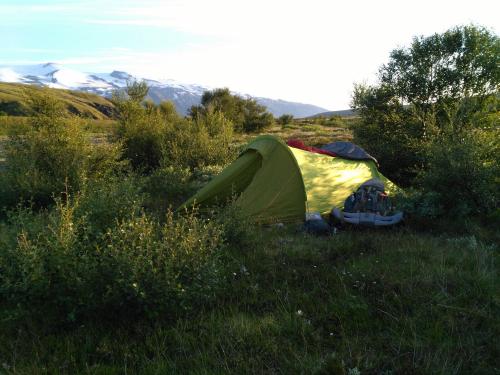 Our camp in the morning.