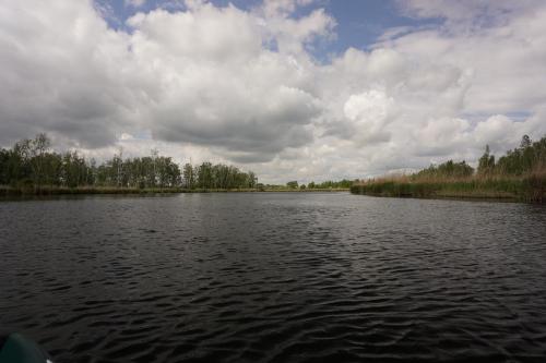 Die Peene kurz vor Anklam.