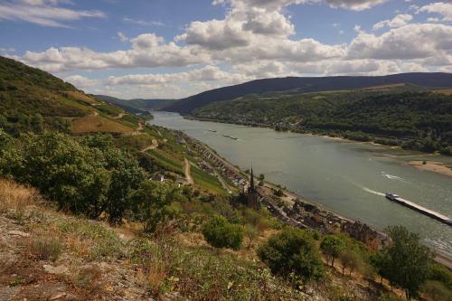 Looking back, upstream, at the Rhine and Lorchhausen.