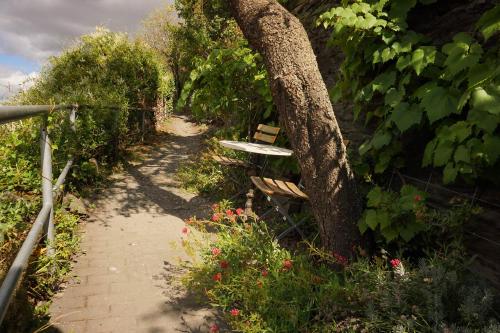 Beautiful idyllic path from Kaub along the foot of Gutenfeld Castle towards Philippinenburg.