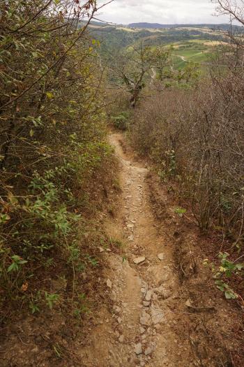 The path to the Rossstein cliff.