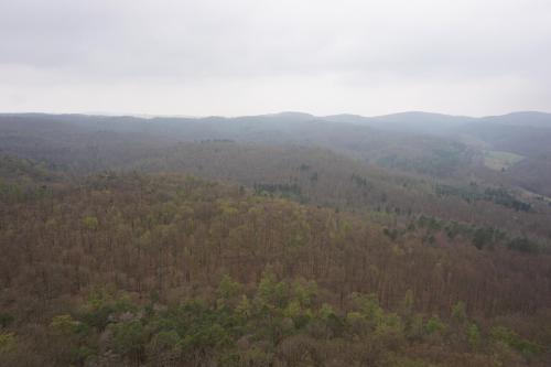 View from the south tower over the sheer endlessness of the Thuringian Forest.