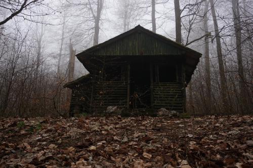 Die Klinzingshütte bei Nebel am Morgen … als wären Hänsel und Gretel gerade Feuerholz sammeln.